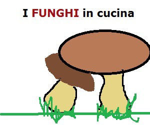 polpette di funghi porcini,ricette,secondi,funghi
